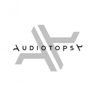 Audiotopsy artist photo